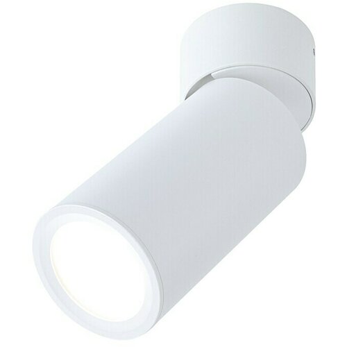 PAULMANN LED stropna svjetiljka Turnal Coin (6 W, Bijela mat, 1 Kom.) Cijene