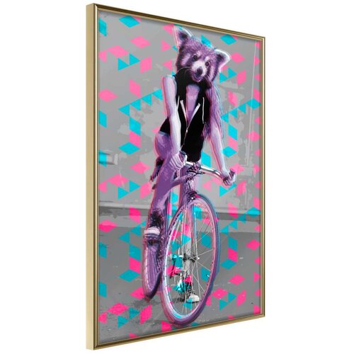  Poster - Extraordinary Cyclist 30x45 Slike