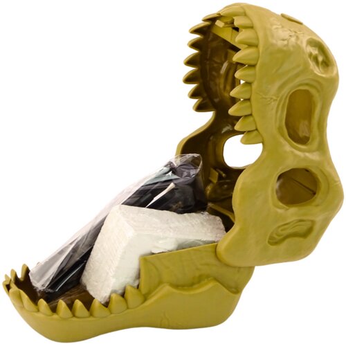  Arheolo&amp;scaron;ki set sa dinosaurom Fossils Skull Slike