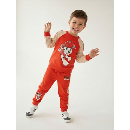Sinsay Trenerke s kontrastnim lampasima i printom PAW Patrol Cene