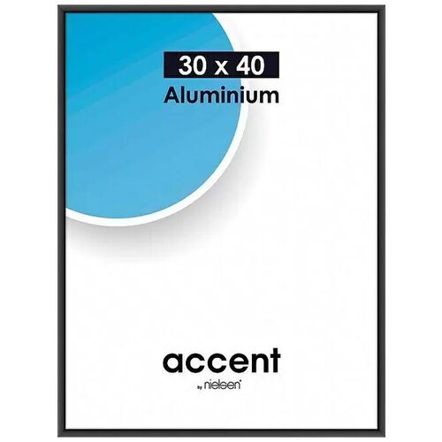  Za sliko aluminij Accent (30 x 40 cm, črn) Cene