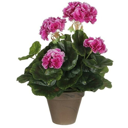  Umjetna biljka Pelargonija (Visina: 34 cm, Boja cvijeta: Tamno roza, Plastika) Slike
