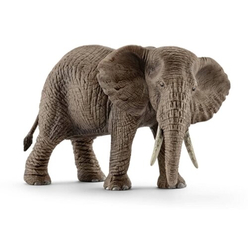 Schleich afrički slon, zenka 14761 Slike