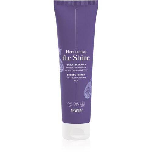 Anwen Here Comes The Shine Shining Primer For High Porosity Hair podlaga za lase 100 ml Cene