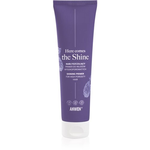 Anwen Here Comes The Shine Shining Primer For High Porosity Hair primer za kosu 100 ml Cijene