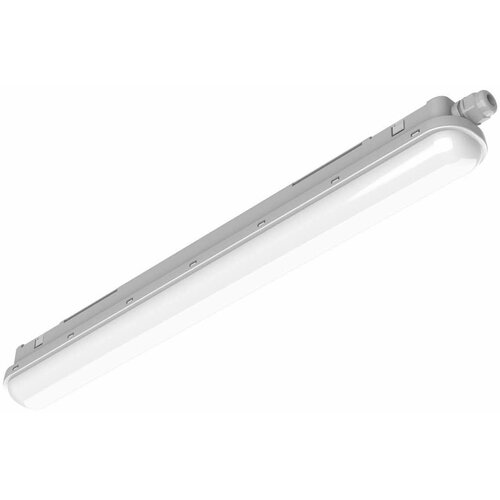 Philips Pila - tehnička LED svetiljka LED/60W/230V 150 cm IP65 Cene