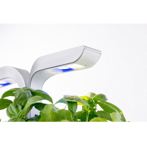  Veritable&amp;reg; SMART Arctic White Kućni Vrt Slike