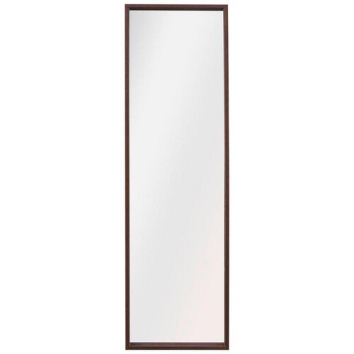 CARRYHOME OGLEDALO, 42,5/142,5/5 cm les, steklo Cene