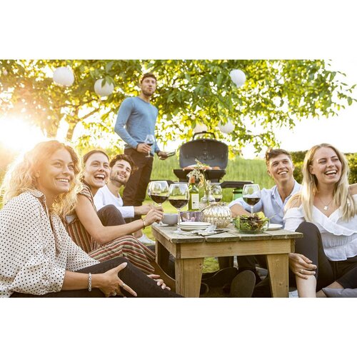 Napoleon Žar plinski prenosni s stojalom PRO285X Cene