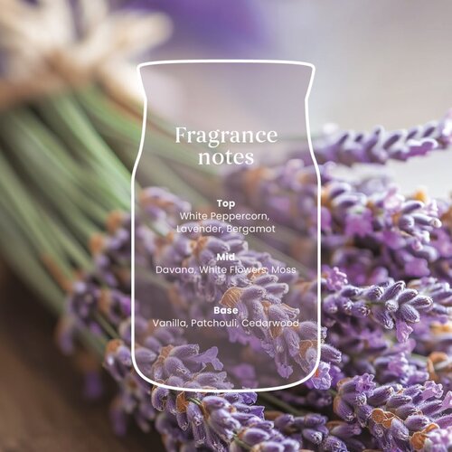 Yankee Candle Dried Lavender &amp;amp; Oak di&amp;scaron;eča sveča 567 g Slike
