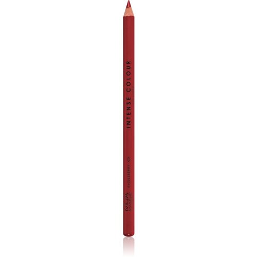 MUA Makeup Academy Intense Colour natančni svinčnik za ustnice odtenek Razzleberry 1,5 g Cene