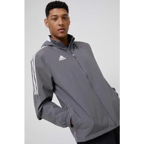 Adidas Športna jakna siva barva