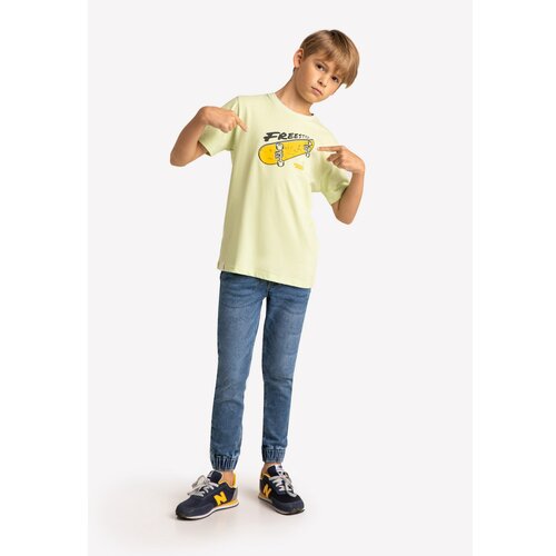 Volcano Kids's Regular T-Shirt T-Fonter Junior B02412-S22 Seledyne Cene