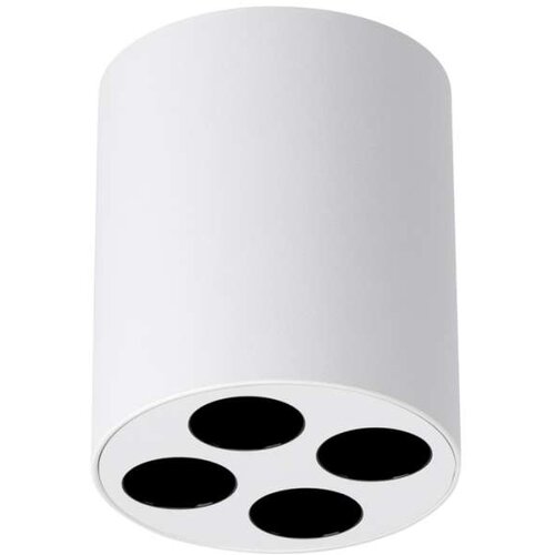  Stropna svetilka ZOE bela LED, (21347863) Cene