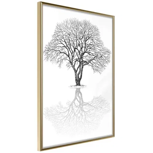  Poster - Roots or Treetop? 20x30