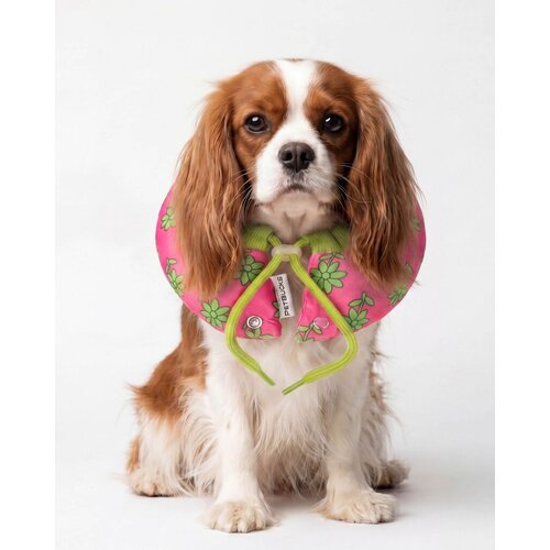 Paws &amp;amp; Whiskers ogrlica za kućne ljubimce krofna, roze Slike