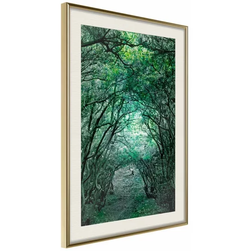  Poster - Tree Tunnel 20x30