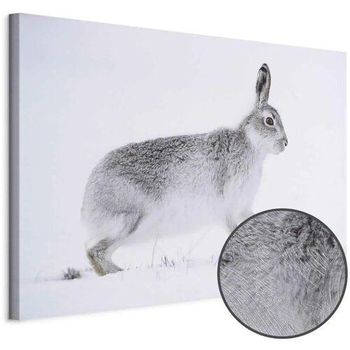  Slika - Hare (1 Part) Wide 90x60 Premium Print Cene