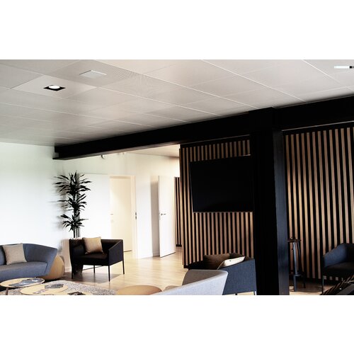 ARTSOUND intiimi SQ2060, premium hi-fi vgradni zvočnik - - audio-kondric Slike