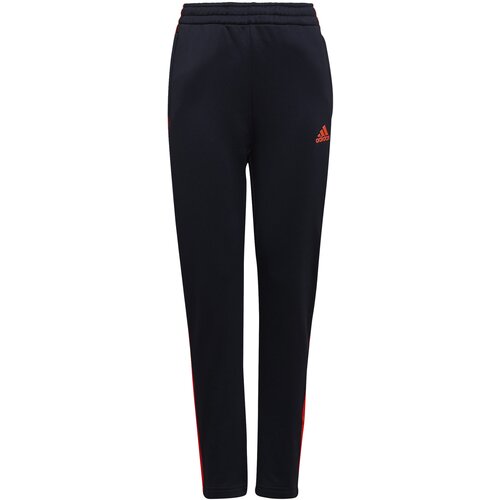 Adidas Spodnji deli trenirke ALABAMA Modra Slike