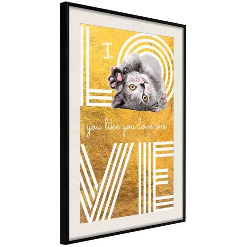  Poster - Cat Love 30x45