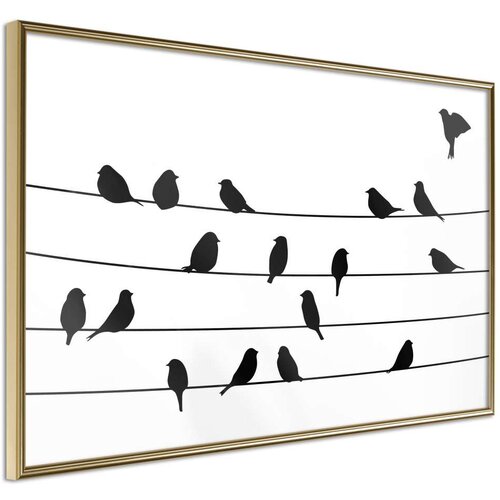  Poster - Birds Council Meeting 30x20 Cijene