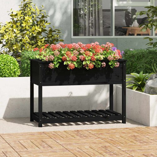 VidaXL Sadilica s policom crna 111 5x54x81 cm od masivne borovine Slike