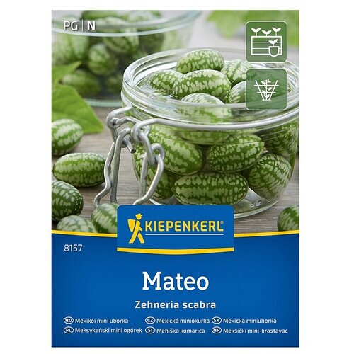 KIEPENKERL Zelenjavna semena Mehi&scaron;ka mini kumara (Melothria scabra, Čas žetve: Avgust) Cene