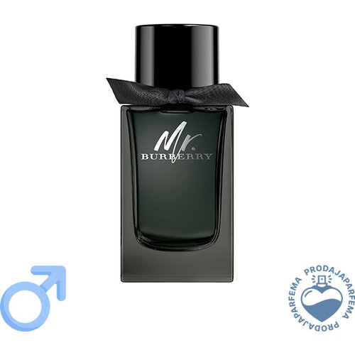 Burberry Mr. - 100ml Cijene