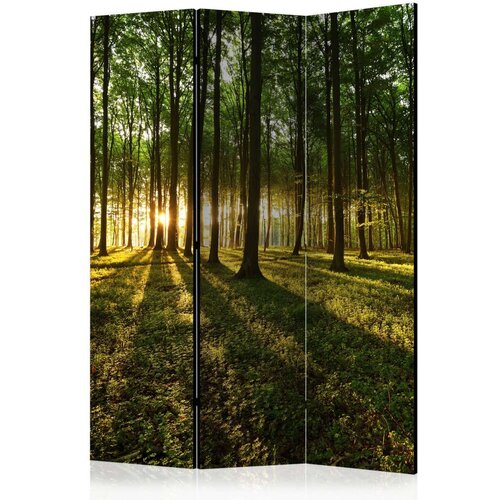  Paravan u 3 dijela - Morning in the Forest [Room Dividers] 135x172 Cijene