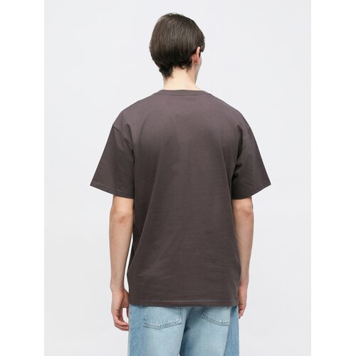 Carhartt WIP Majica &amp;#039;Chase&amp;#039; taupe siva Slike
