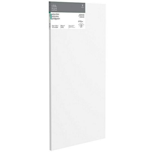 WINSOR & NEWTON Slikarsko platno sa drvenim okvirom (50 x 100 x 2,1 cm, mješavina pamuka, Trostruko grundirano) Cijene