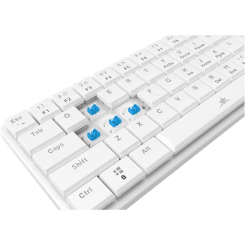 WHITESHARK TASTATURA GK-006221 NAGAMAKI Bijela-Mehanicka/US-BLUE SW. Cijene