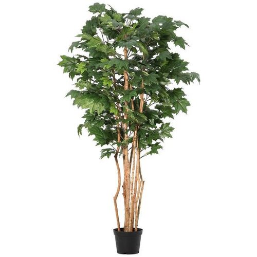  KANADSKI JAVOR 195CM PVC BIZZOTTO Cijene