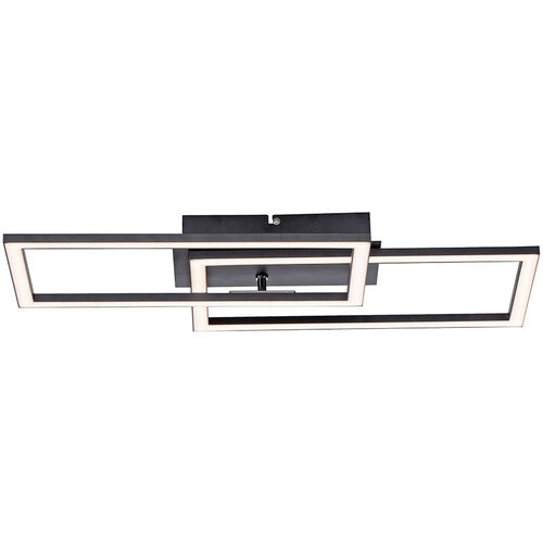 PAUL NEUHAUS Stropna svetilka črna 54 cm z LED 3-stopenjsko zatemnitvijo - Georgi Slike