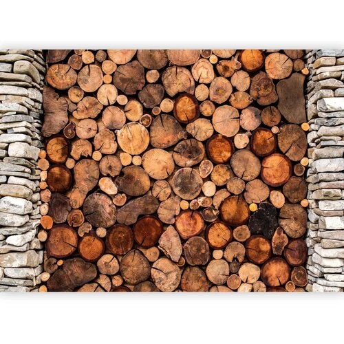  Foto tapeta - Wooden Gate 250x175 Vodootporna Slike