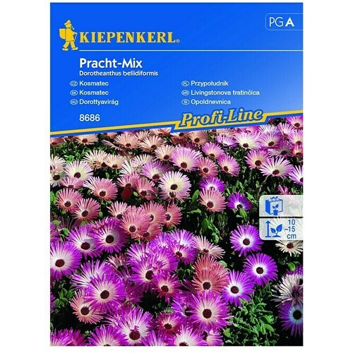 KIEPENKERL Profi-Line Sjeme cvijeća Livingstonova tratinčica Pracht - Mix (Dorotheanthus bellidiformis, Raznobojno) Cijene