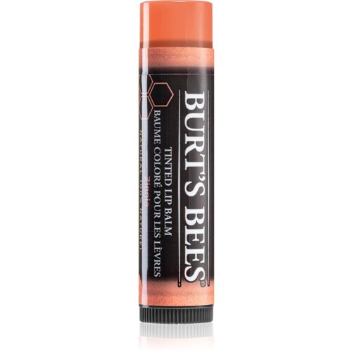 Burt’s Bees Tinted Lip Balm balzam za ustnice odtenek Zinnia 4.25 g Cene