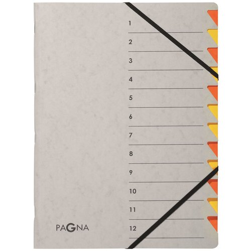 Pagna organizator mapa Easy Grey, A4, 12 predelkov, siva / oranžna, (21651670) Cene