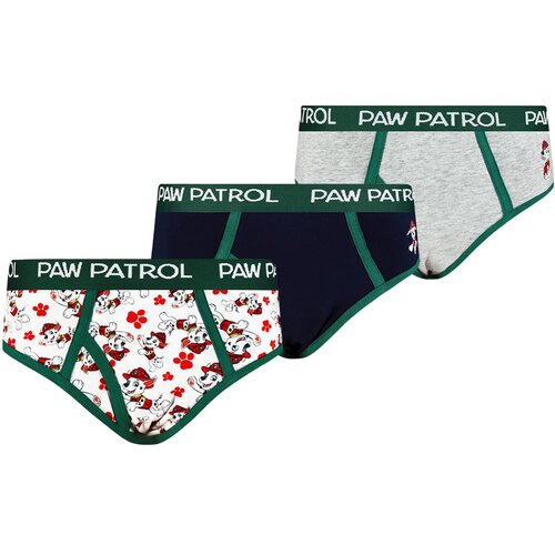 Frogies Boys briefs Paw Patrol 3P Cijene