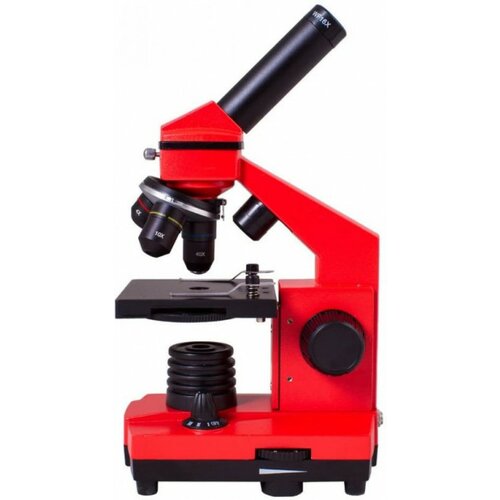 Levenhuk mikroskop rainbow 2L orange ( le69064 ) Cene