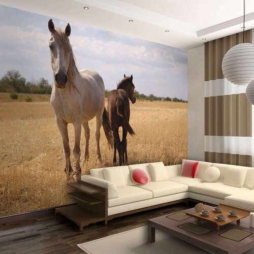  Tapeta - Horse and foal 250x193 Cijene