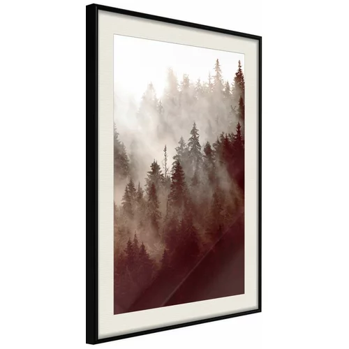  Poster - Forest Fog 30x45