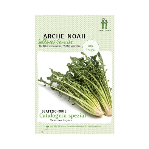 Arche Noah Ekolo&amp;scaron;ka listnati radič &amp;quot;Catalogna special&amp;quot; Slike