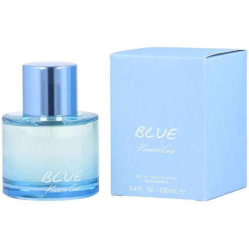 Parfem Blue 100 ml toaletna voda za mo&amp;scaron;ke Slike