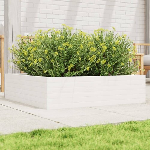 VidaXL Vrtna sadilica bijela 90 x 90 x 23 cm od masivne borovine Slike