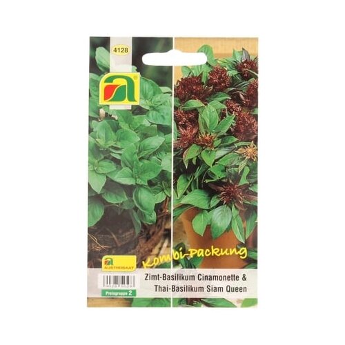 AUSTROSAAT Bazilika &amp;quot;Siam Queen&amp;quot; &amp;amp; &amp;quot;Cinamonette&amp;quot; Slike