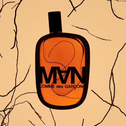 Comme des Gar&amp;ccedil;ons 2 Man toaletna voda za mu&amp;scaron;karce 50 ml Slike