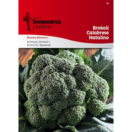  Brokoli "Calabrese Natalino" - 5 g Cene