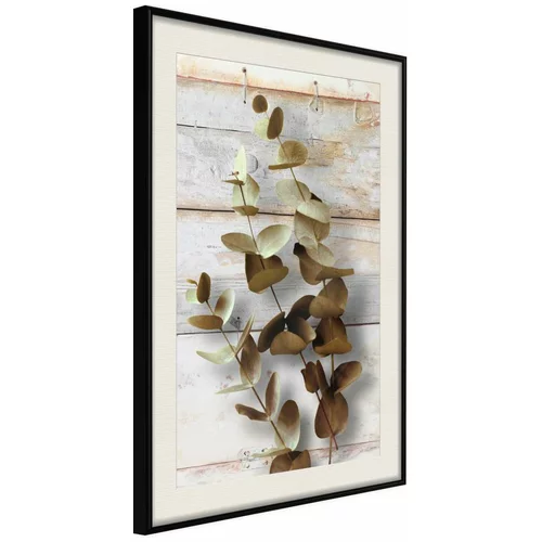  Poster - Decorative Twigs 20x30